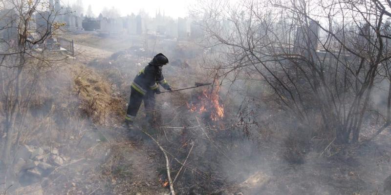 Івано-Франківська область: за минулу добу вогнеборці ліквідували 44 пожежі в природних екосистемах