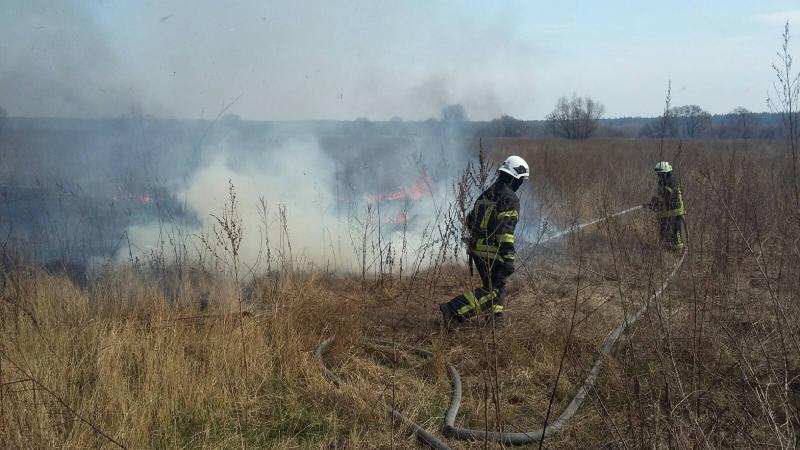 Київська область: рятувальники ліквідували пожежі трав’яного настилу і «поспілкувалися» із палієм