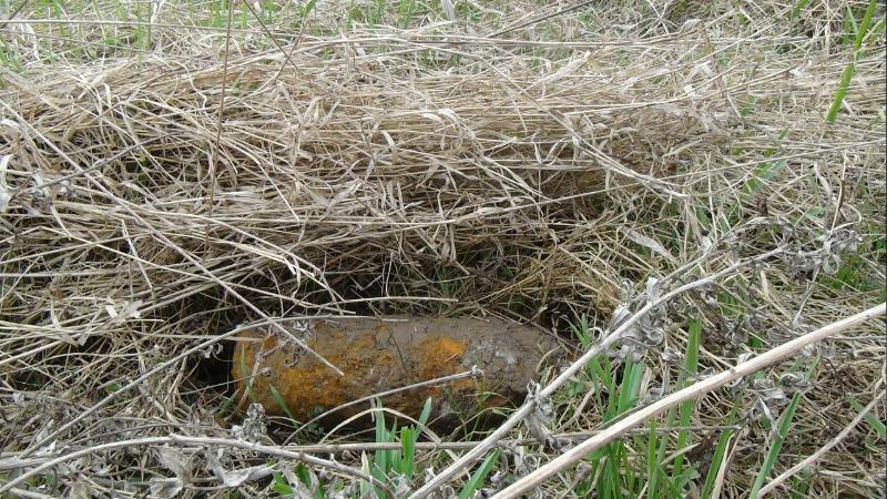 Івано-Франківська область: піротехніки знищили застарілі боєприпаси