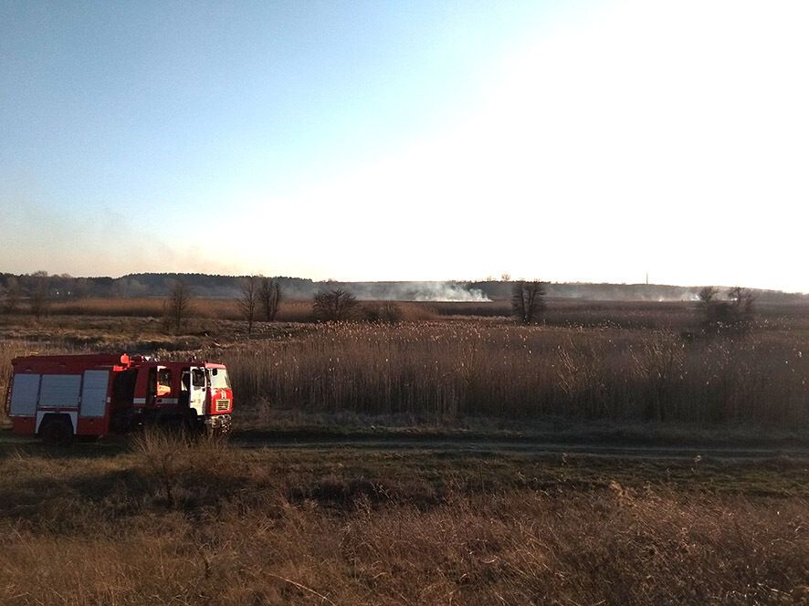 Полтавська область: за добу рятувальники ліквідували 29 пожеж на відкритій території