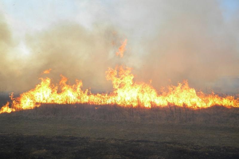 На Чернігівщині впродовж доби вогнеборці ліквідували 8 пожеж в природних екосистемах