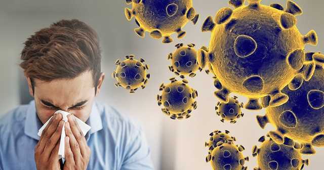 Как защититься от коронавируса – советы вирусолога