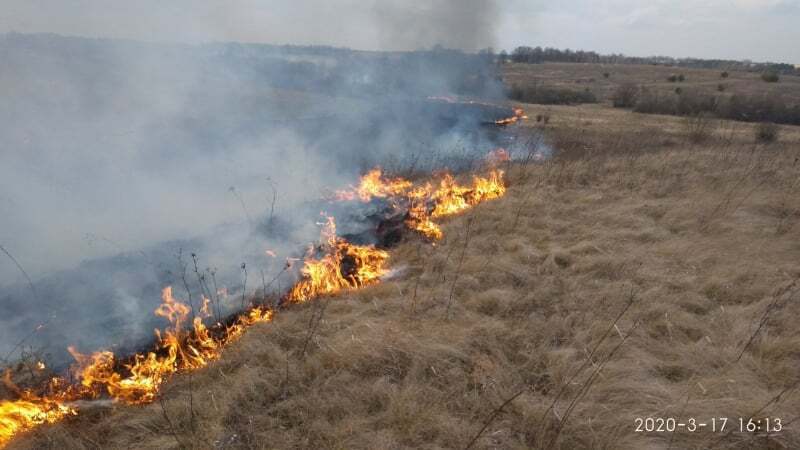 Вінницька область: за добу ліквідовано 22 пожежі сухої рослинності