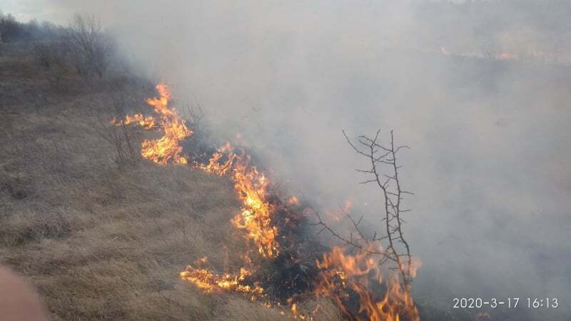 Вінницька область: за добу ліквідовано 22 пожежі сухої рослинності