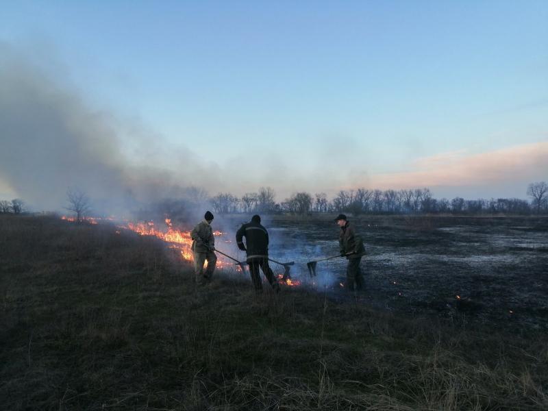 Дніпропетровська область: підпалили листя – знищили 2 гектари (ВІДЕО)