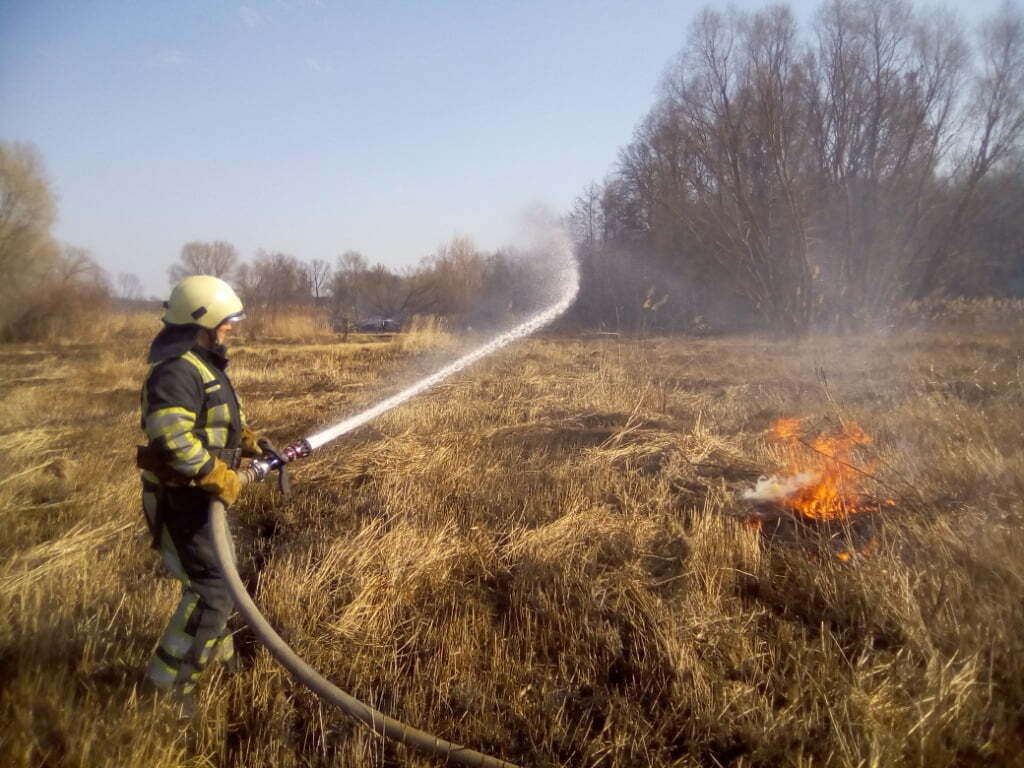 Київська область: вогнеборці продовжують боротьбу з пожежами в природних екосистемах (ВІДЕО)