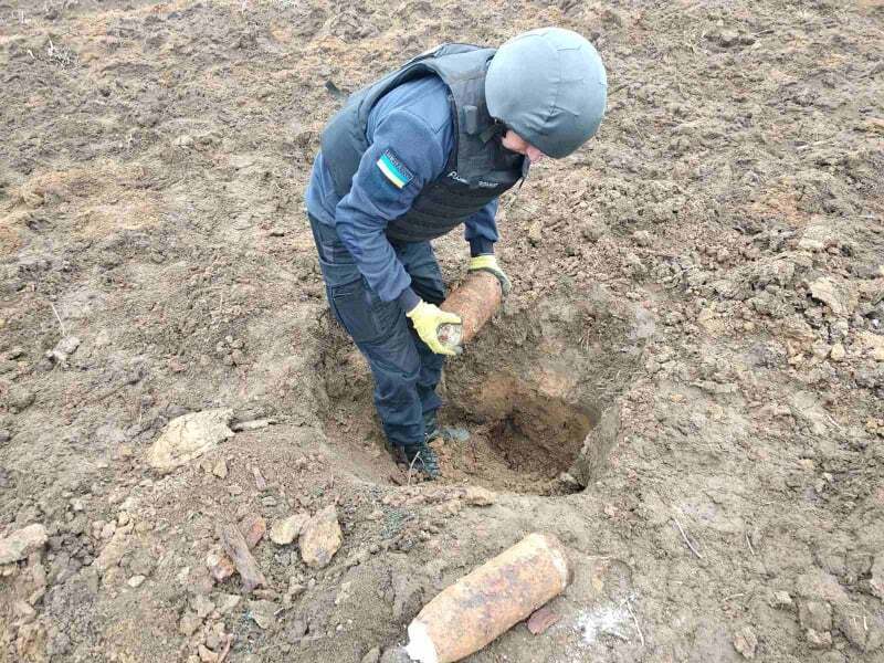 Вінницька область: саперами ДСНС знищено сім боєприпасів часів Другої світової