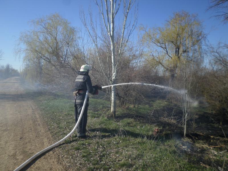 Миколаївська область: щодоби вогнеборці гасять пожежі очерету та сухої трави