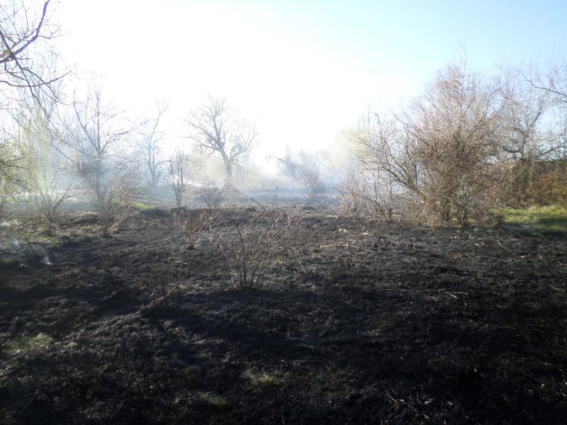 Миколаївська область: щодоби вогнеборці гасять пожежі очерету та сухої трави