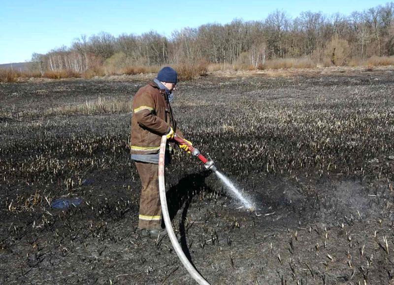 Полтавська область: рятувальники ліквідували торф’яну пожежу