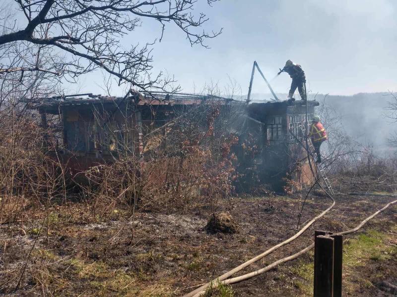 Закарпаття: через самопали сухостою горять житлові будинки закарпатців