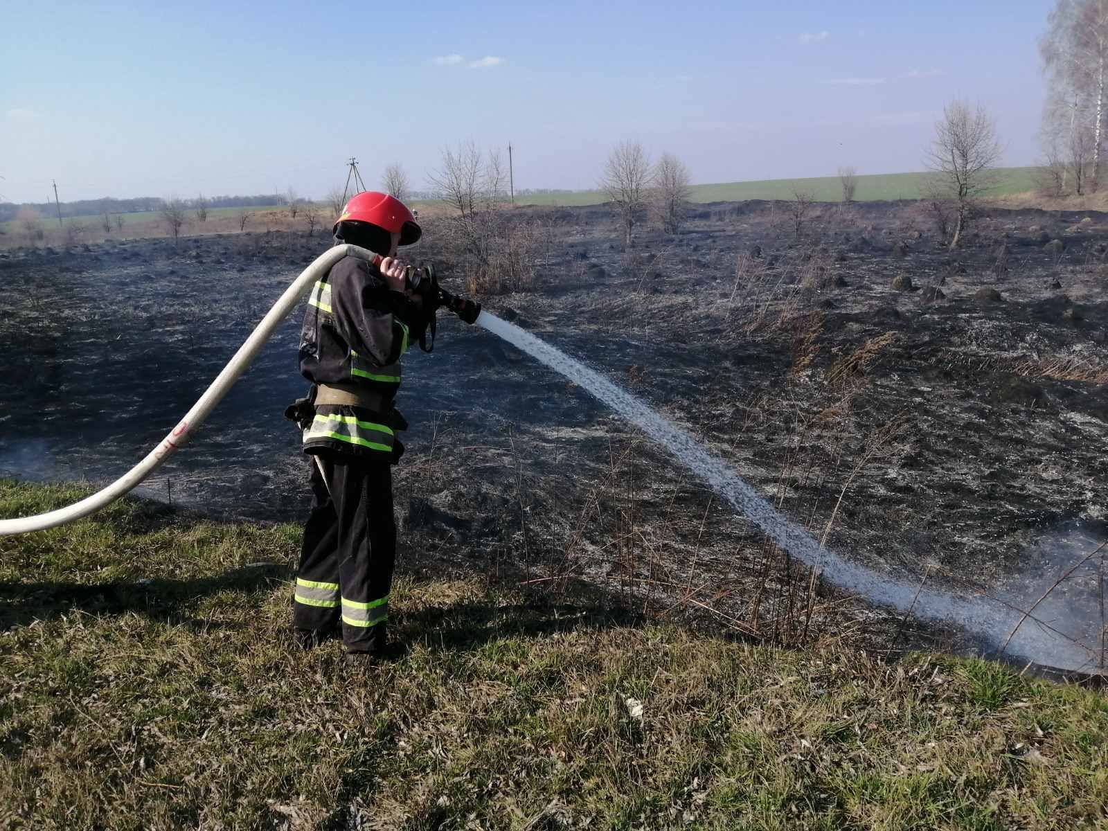 На Вінниччині за добу ліквідовано 27 пожеж в екосистемах