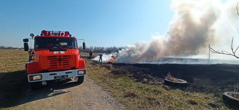 На Вінниччині за минулу добу ліквідовано 35 пожеж в екосистемах (ВІДЕО)