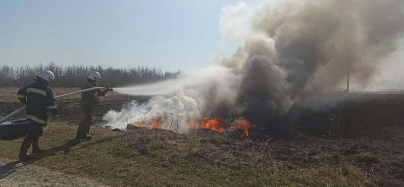 На Вінниччині за минулу добу ліквідовано 35 пожеж в екосистемах (ВІДЕО)