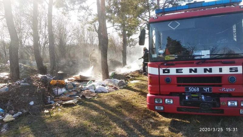 Житомирська область: упродовж доби вогнеборцями ліквідовано 29 займань сухостою