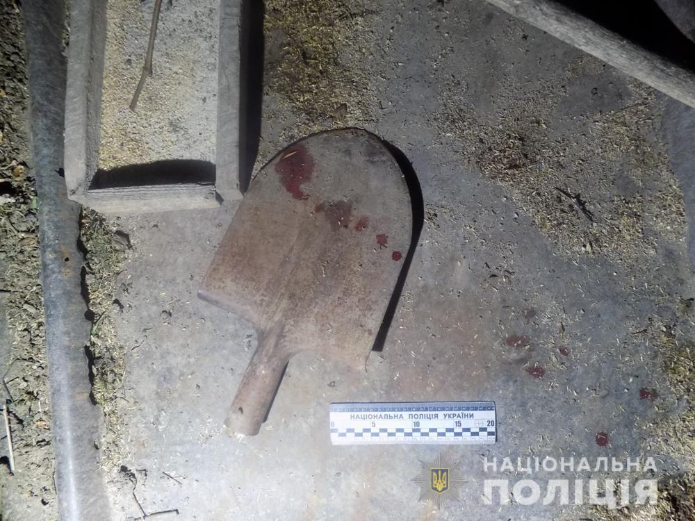 Поліцейські притягують до відповідальності неповнолітнього жителя Арцизького району, який наніс старенькій односельчанці тілесні ушкодження