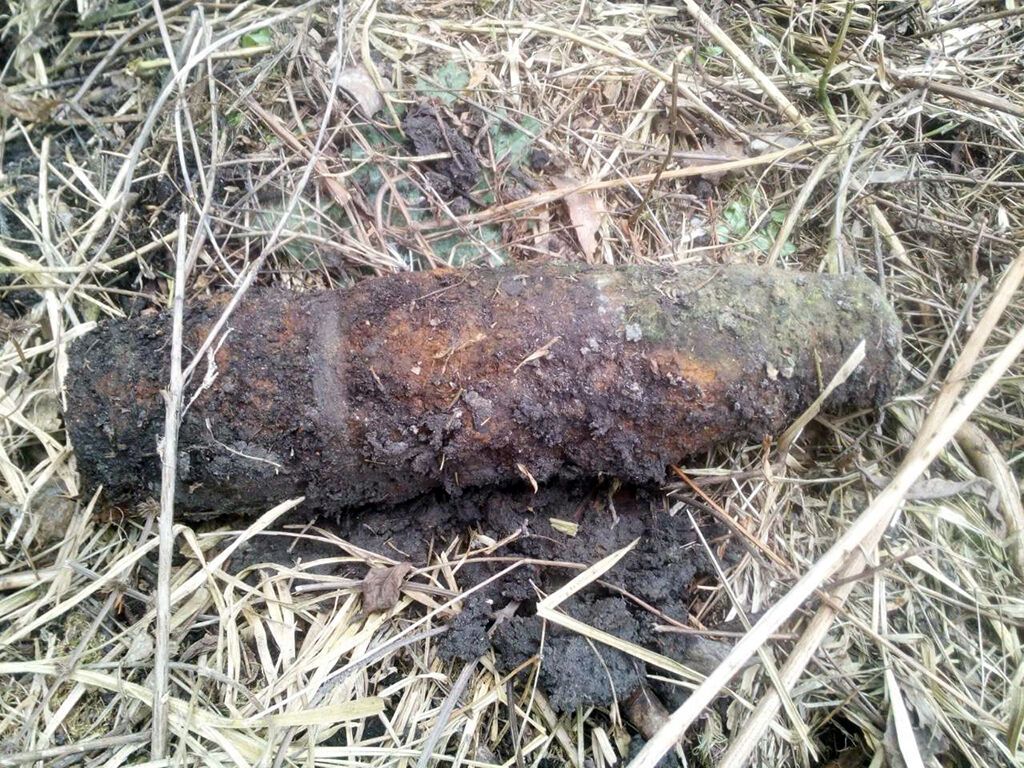 Дніпропетровська область: піротехніки ДСНС знищили 3 застарілих боєприпаси