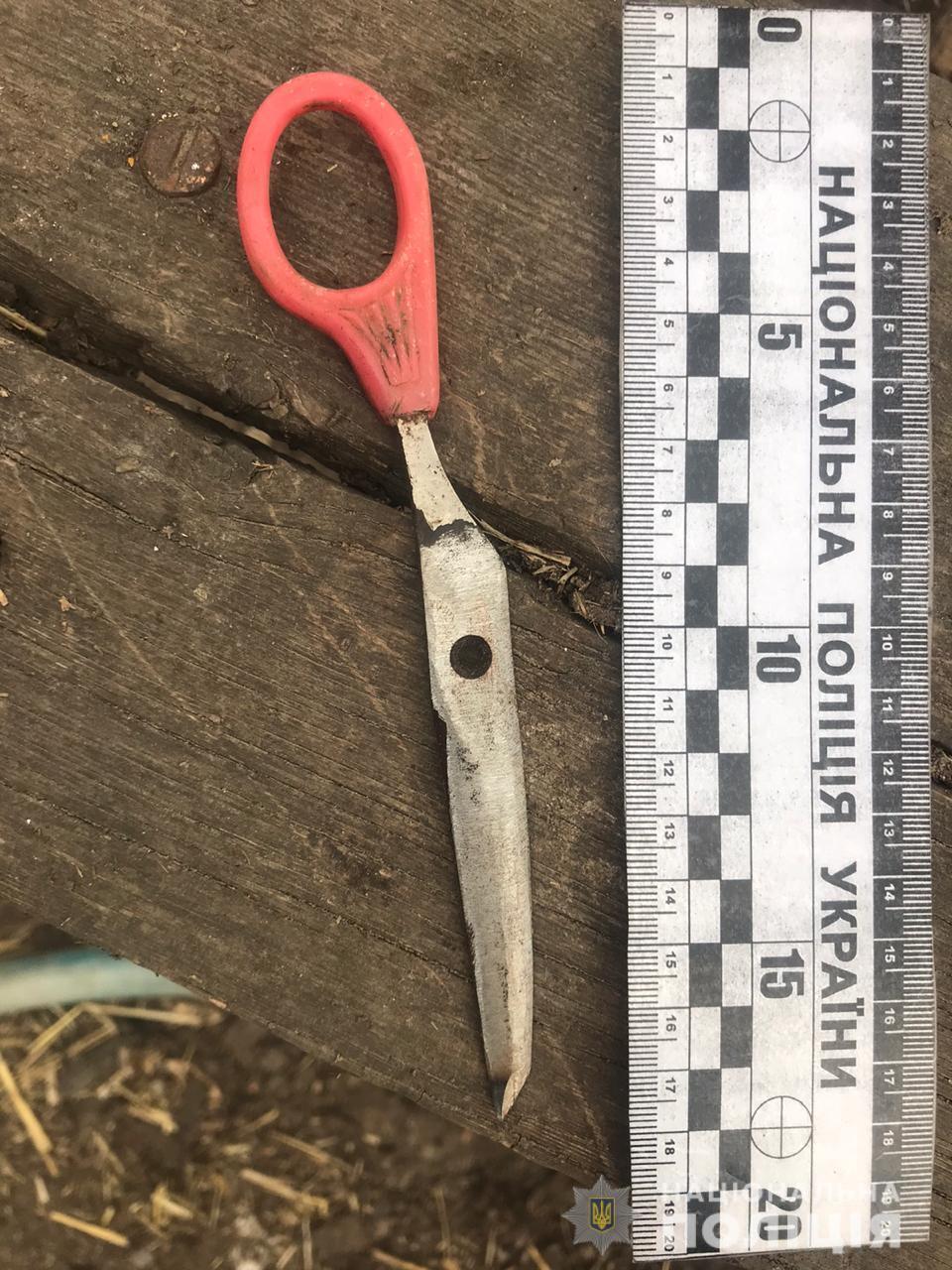 Поліцейські затримали жителя Білгород-Дністровського району за підозрою у замахові на вбивство земляка