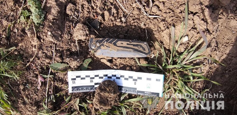 Поліцейські Чорноморська затримали 24-річну дівчину за нанесення тяжких тілесних ушкоджень знайомому