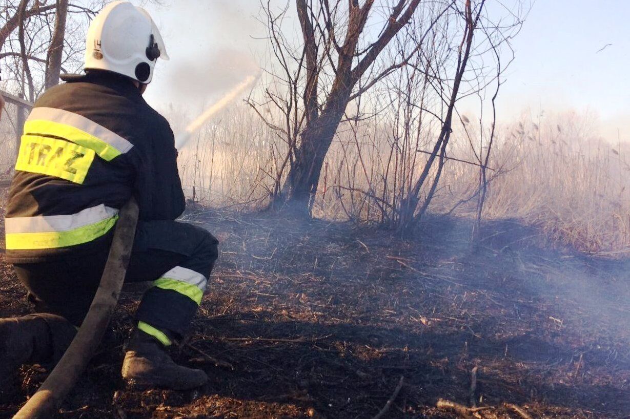 Упродовж доби вогнеборці Чернігівщини ліквідували 4 пожежі, що виникли у природних екологічних системах