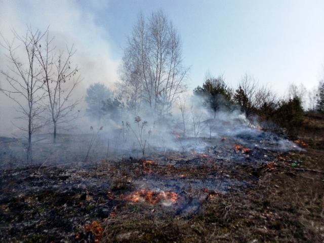 Житомирська область: протягом доби ліквідовано 35 пожеж сухої рослинності, на одній з яких виявлено загиблого пенсіонера