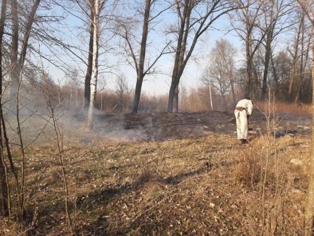 Житомирська область: протягом доби ліквідовано 35 пожеж сухої рослинності, на одній з яких виявлено загиблого пенсіонера