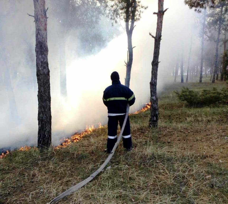 Херсонська область: за добу 6 разів горіли суха трава, підстилка та очерет