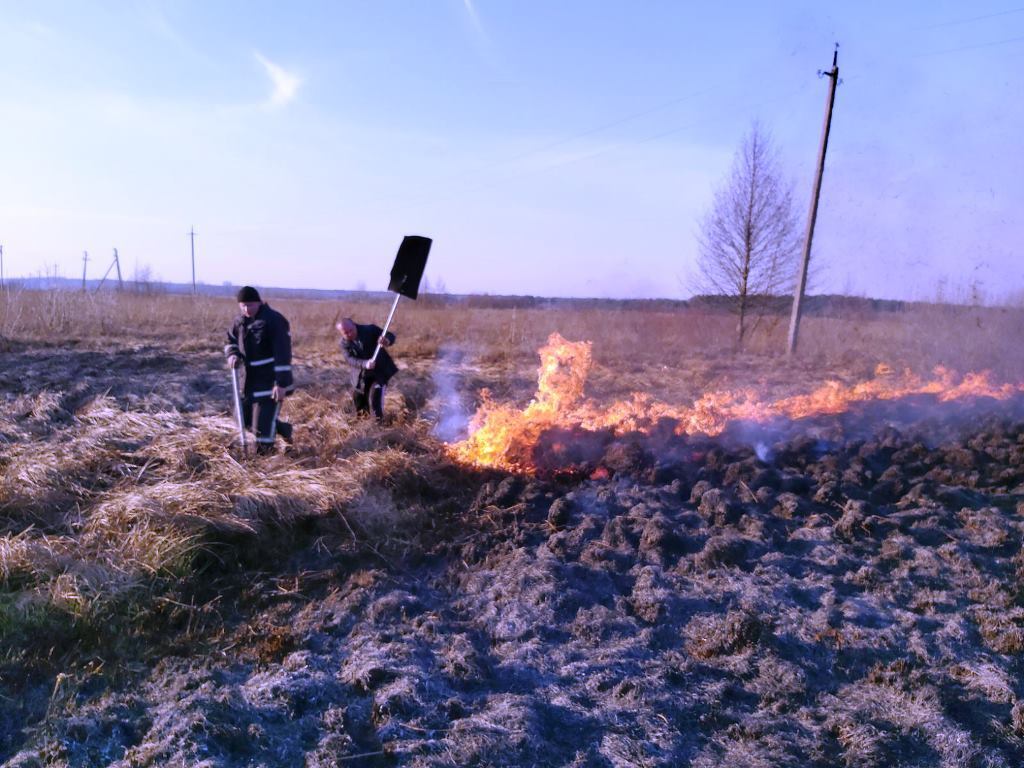 Житомирська область: упродовж доби вогнеборці ліквідували 35 пожеж сухої трави