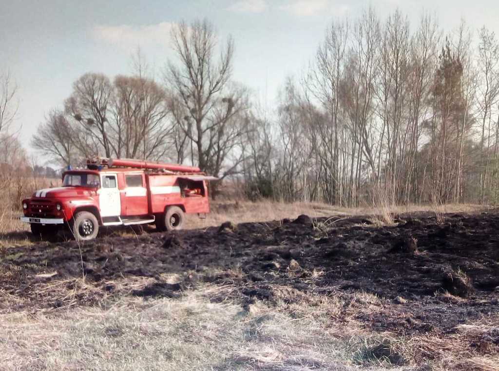 Житомирська область: упродовж доби вогнеборці ліквідували 35 пожеж сухої трави