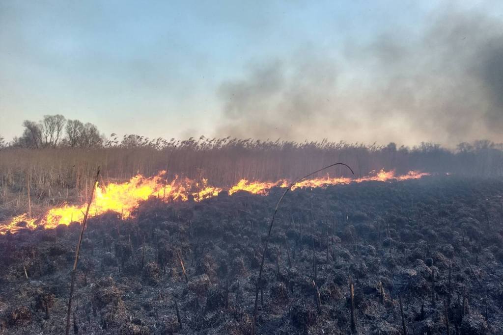 Упродовж минулої доби на Чернігівщині вогнеборці ліквідували 54 пожежі