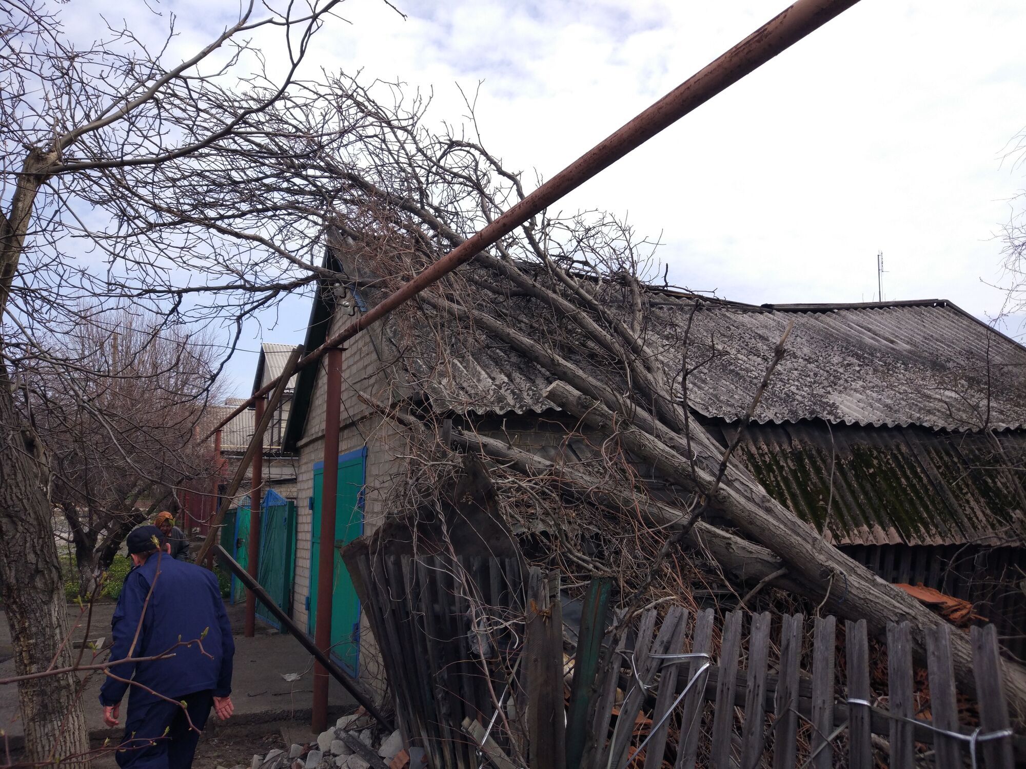 Донецька область: рятувальники спиляли аварійне дерево, що впало на гараж