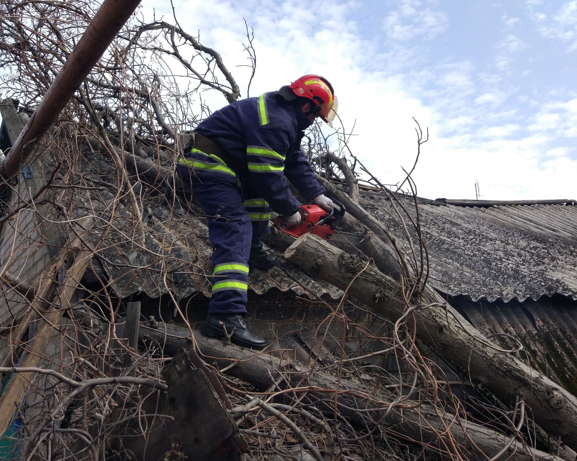 Донецька область: рятувальники спиляли аварійне дерево, що впало на гараж