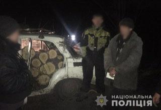 Поліцейські Мангуша викрили «чорних лісорубів»