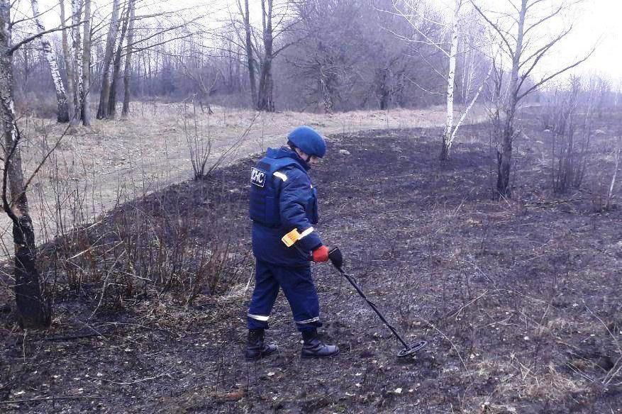 Чернігівська область: піротехніки ДСНС знищили мінометну міну