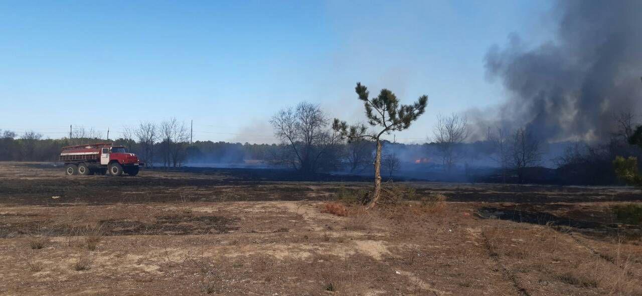 Одеська область: рятувальники ліквідовують загоряння сухої трави