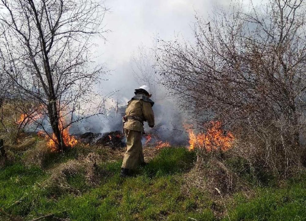 Одеська область: рятувальники ліквідували пожежу на відкритій місцевості та не допустили розповсюдження вогню на базу відпочинку