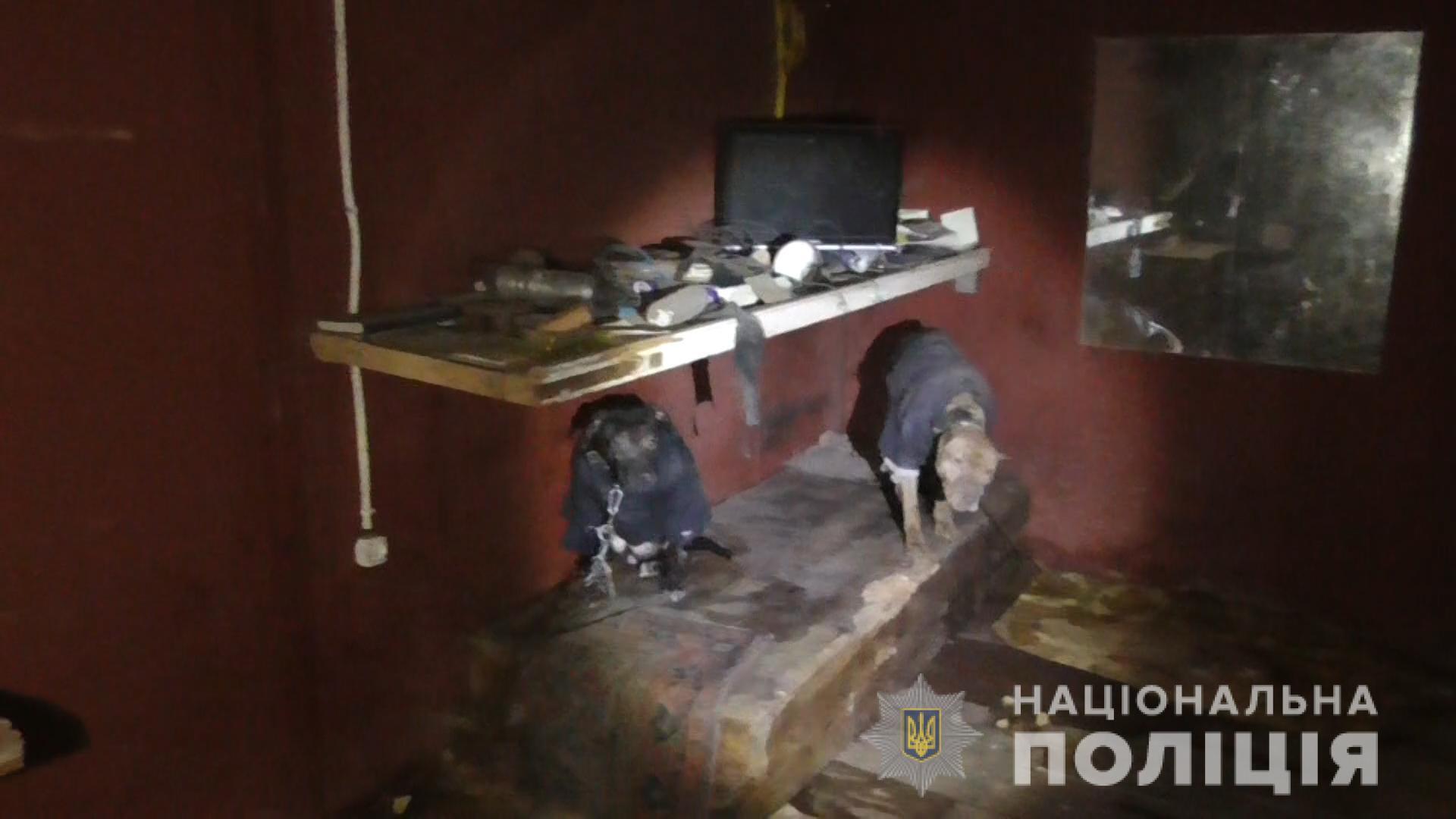 Сумська поліція за фактом жорстокого поводження з тваринами відкрила кримінальне провадження