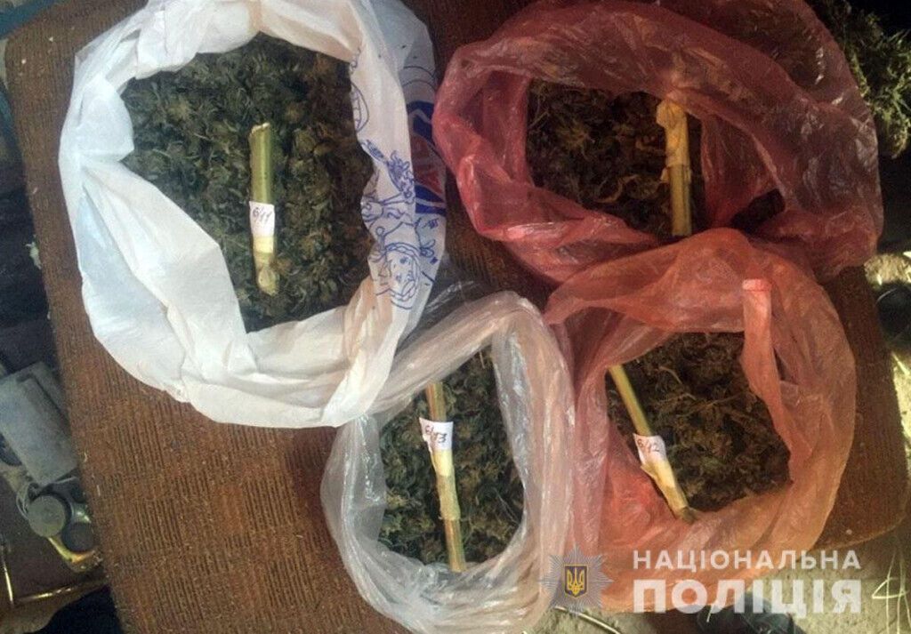 У жителя Добропілля поліцейські вилучили близько 5 кг конопель