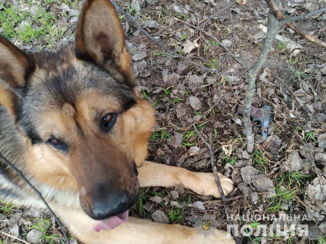 На Сумщині поліція затримала чоловіка, який стріляв у перехожого