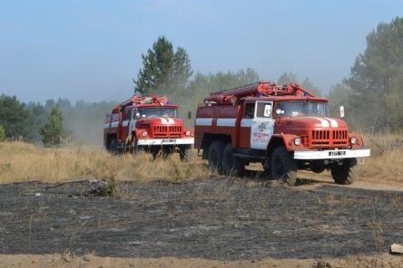 Чернігівська область: рятувальники ліквідували пожежу настилу в лісі та сухої трави