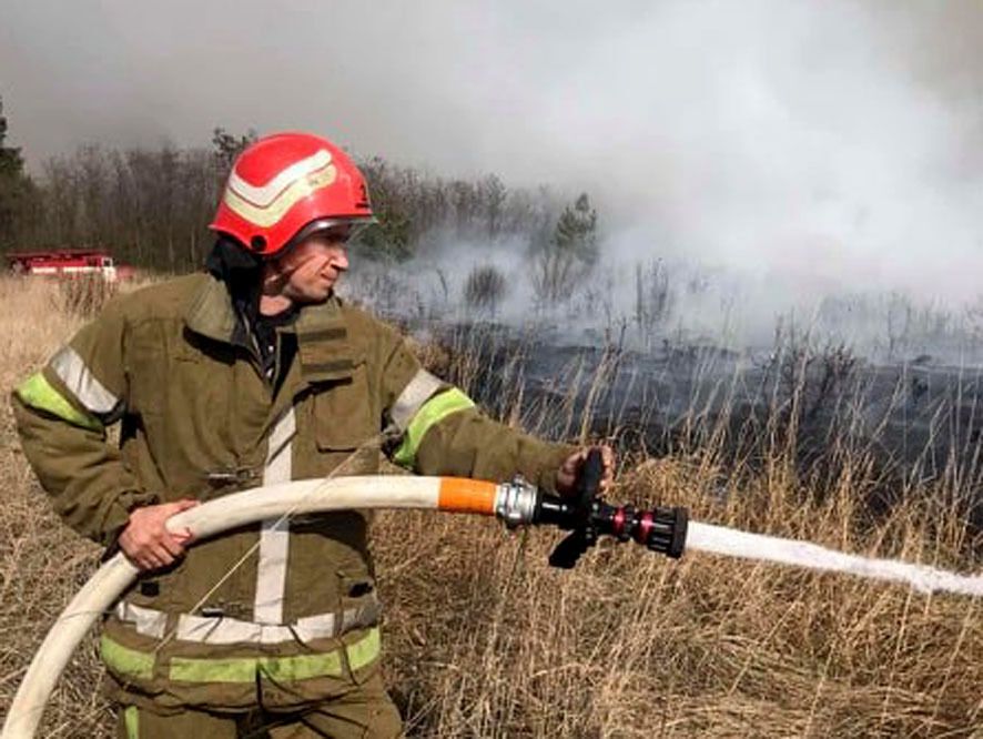 Полтавська область: рятувальники ліквідували лісову пожежу