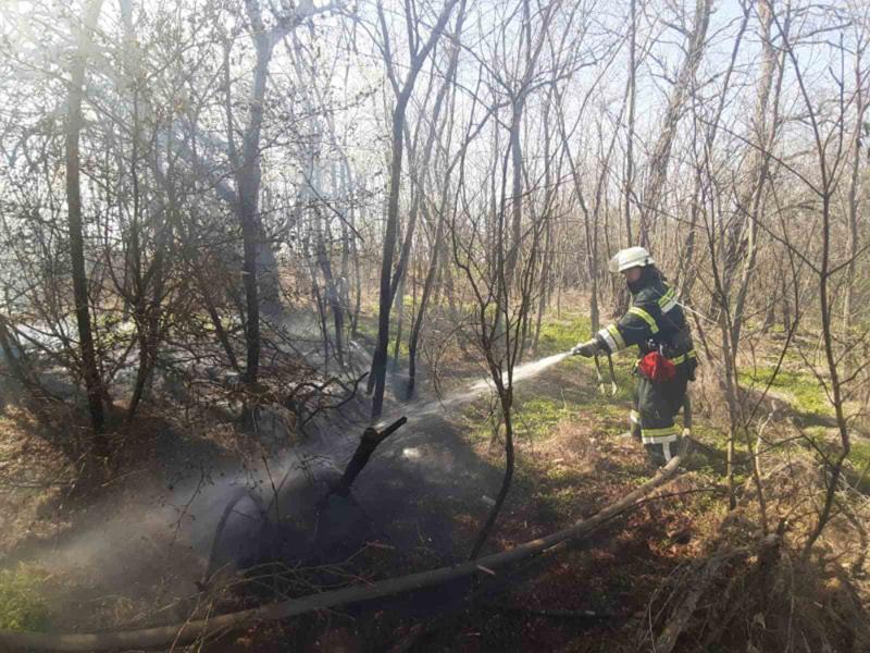 На Миколаївщині продовжують виникати пожежі на відкритих територіях