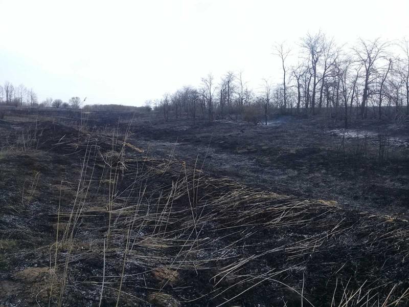 На Миколаївщині продовжують виникати пожежі на відкритих територіях