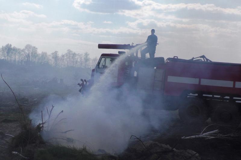 Чернігівська область: триває ліквідація пожежі настилу в лісі та сухої трави