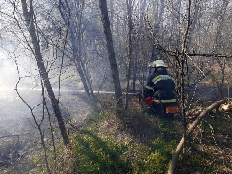 На Миколаївщині продовжують виникати пожежі на відкритих територіях
