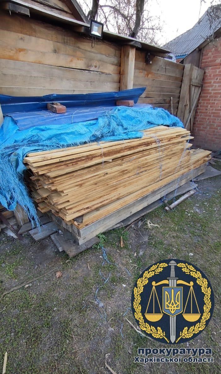 На Харківщині викрили групу «чорних лісорубів», до якої входили поліцейські