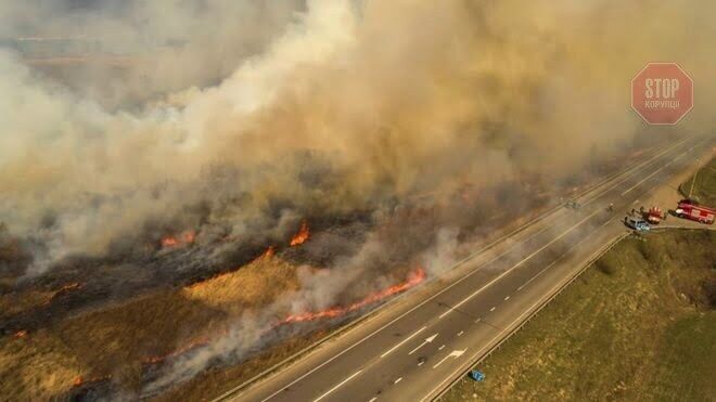  Займання сухої трави перейшло в серйозні пожежі в Чорнобилі Фото: ВВС