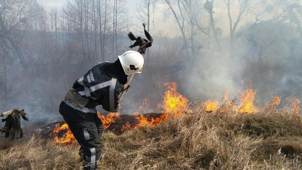 Київська область: вогнеборці продовжують боротьбу з пожежами в екосистемах
