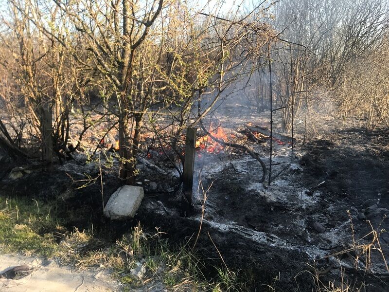 На Волині за минулу добу рятувальники ліквідували 4 пожежі в екосистемах