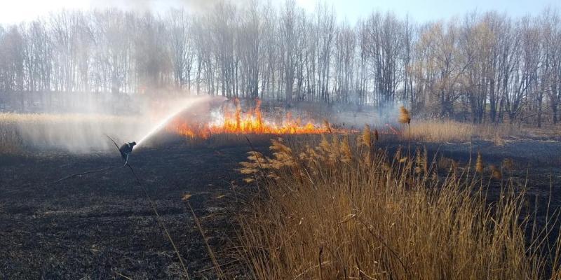 За минулу добу рятувальники Черкащини ліквідували 9 пожеж сухої рослинності та сміття
